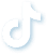 TikTok Logo